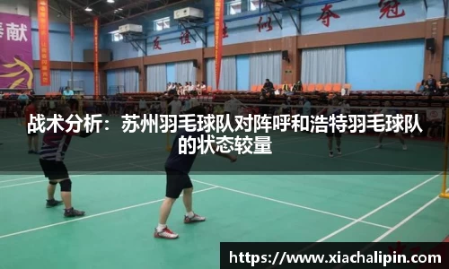 战术分析：苏州羽毛球队对阵呼和浩特羽毛球队的状态较量