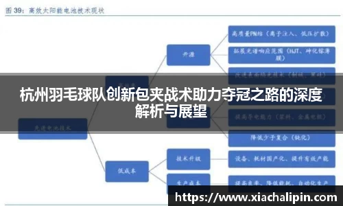 杭州羽毛球队创新包夹战术助力夺冠之路的深度解析与展望